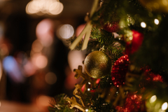 20251127_JAZZMONDAYS_0007_web